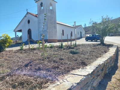 Pisoria Igreja Com Jardim