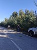 Limpeza Vias Públicas Limpeza Vias Públicas